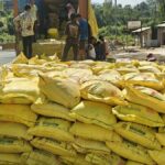 Crackdown in Assam: 700 Urea Fertilizer Bags Seized, Two Arrested
