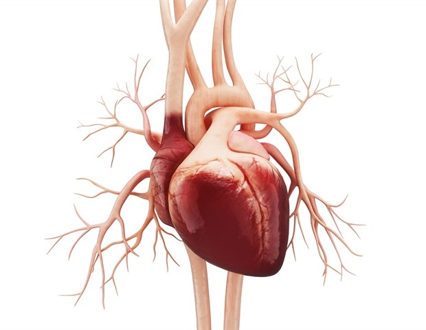 Overall Dietary Patterns Matter More Than Nutrients for Heart Health