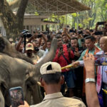 Manas Opens to Tourists: Assam’s Conservation-First Journey