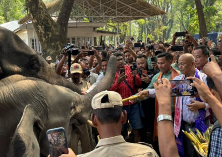 Manas Opens to Tourists: Assam’s Conservation-First Journey