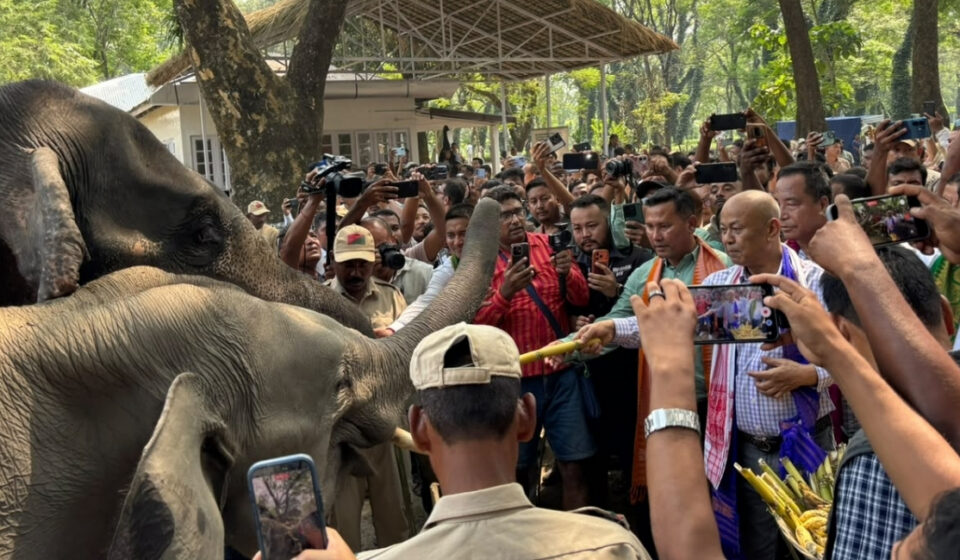 Manas Opens to Tourists: Assam’s Conservation-First Journey